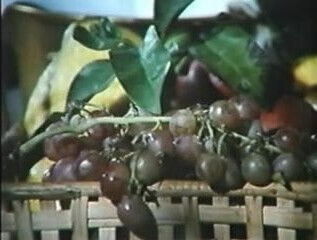 Brunettes: Short Hair Curly