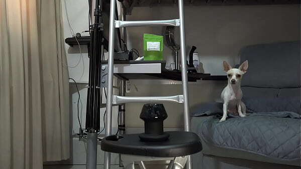 alexandra miret compilacion