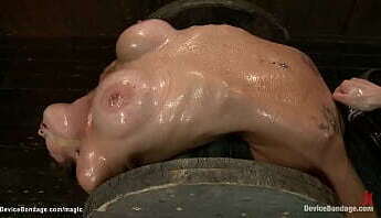 Busty lesbian suffer extreme torment