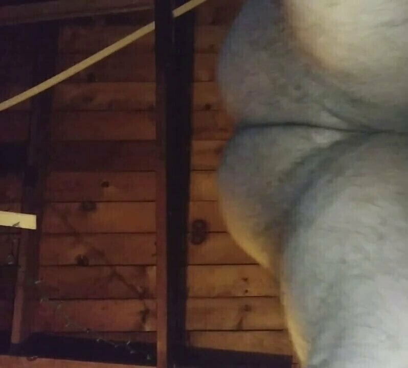 busted over when bent over doggy