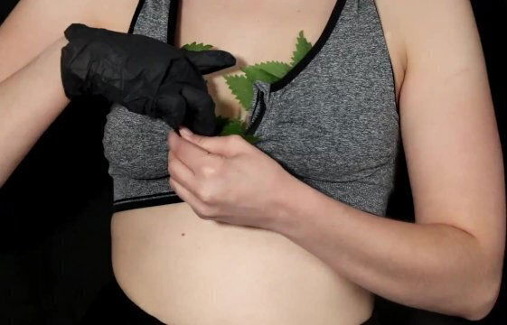 Nettles whipped with nettles Holly