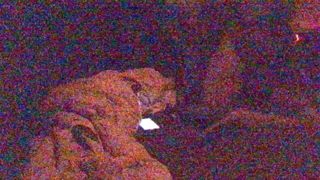 【個人撮影】夜の妻は肉便器！チンポを欲しがる雌犬化！普段は清楚な妻が挿入を悲願する夜の顔！プレイする日の食事中に夜のプレイ内容を話すと食事中にも関わらず、マンコを濡らしながら何食わぬ顔で食事をする。