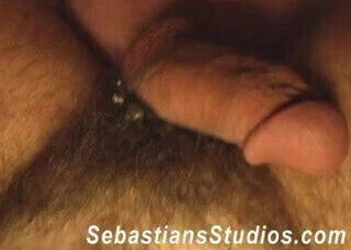 Breeding Juan Castro