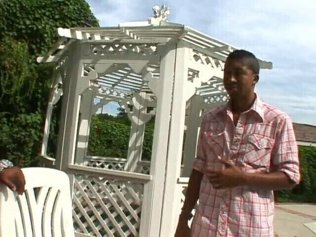 Black Stallion fucked bitch well