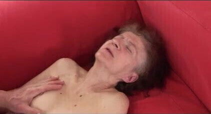 Old young new collection