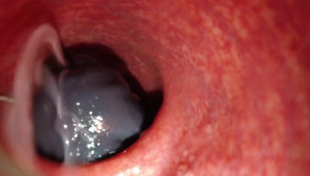 internal camera dragon flint cumming