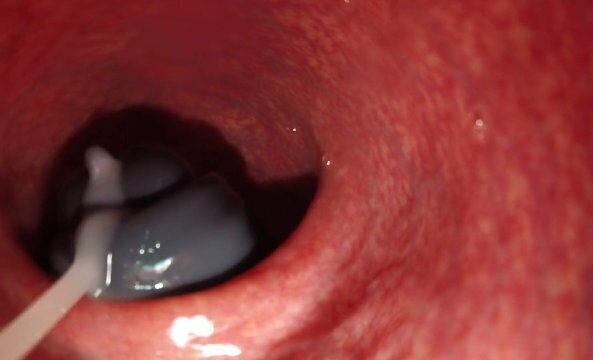 internal camera dragon flint fucks cums deep ass, lots