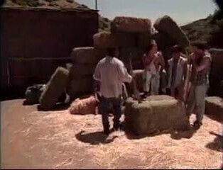 Gangbang near stables