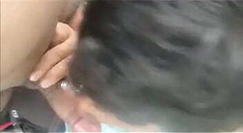 my dog want honey dick