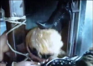 shemales Mistresses stupid stooge