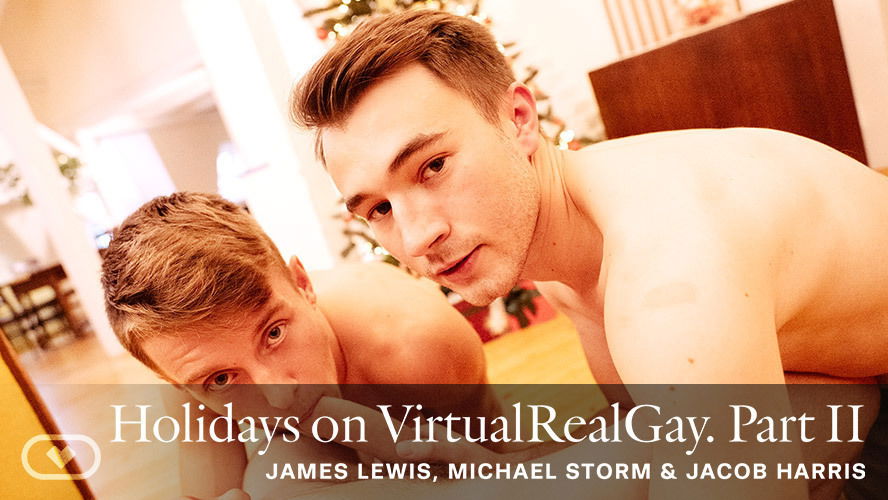 Holidays on VirtualRealGay: Part II - VirtualRealGay