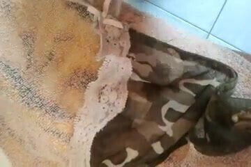 cum on gf dirty panties 