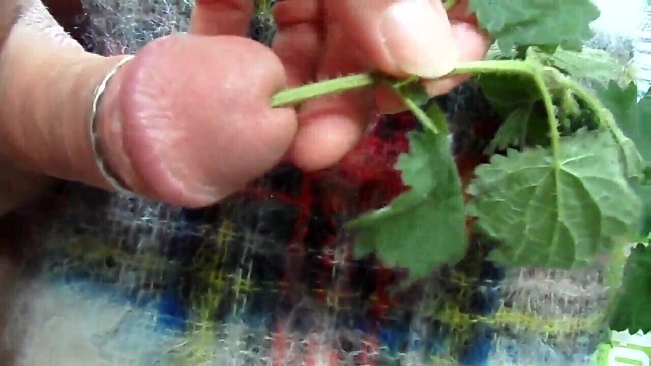 Stinging Nettle and Mohair Masturbation 5