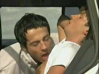 Fucking in the Fields - nial