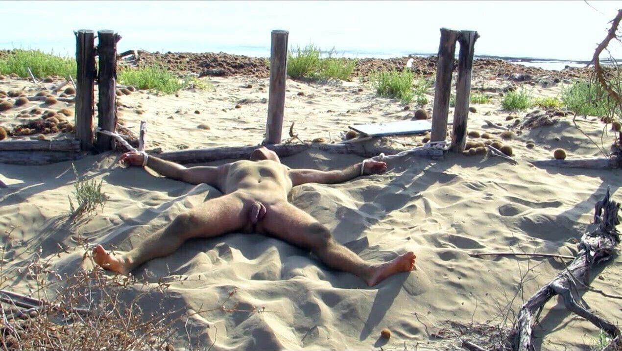 Tied ut at the beach