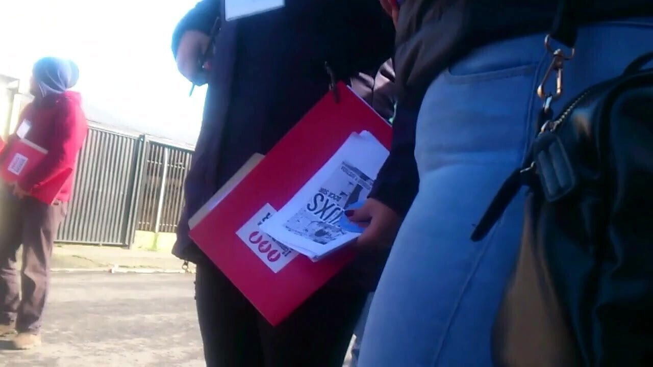 Pendeja Medio Piernotas Plump Booty