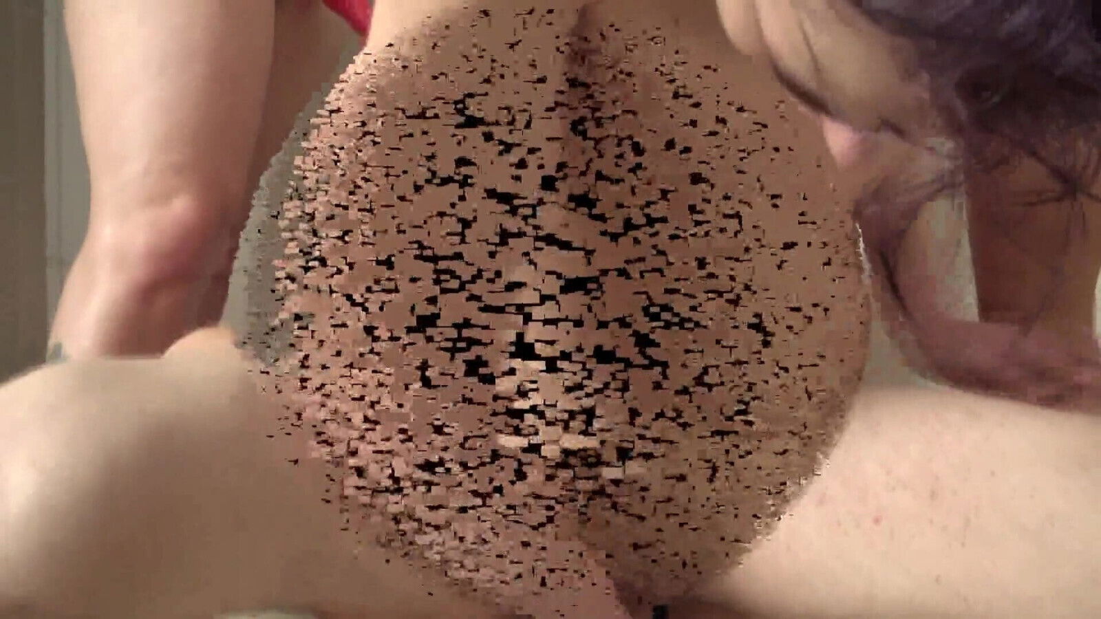 Lady Sonya, Madame Carla, Cruel Daisy, princess valerie