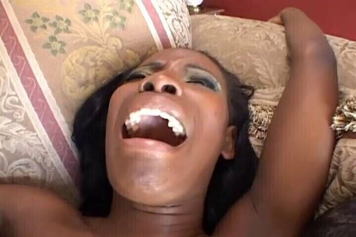 MANY COCKS HOLES (Michael Stefano Films)