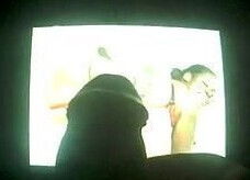 My Fresh Sperm on her Chocolate Big Fat Booty