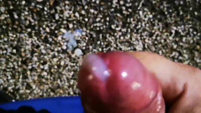 sego sulla strada sborro