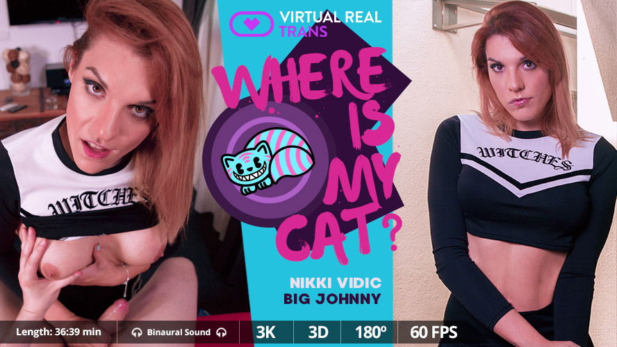 Where is my cat? - VirtualRealTrans