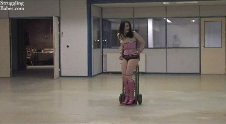 Doll Delivery Service transport