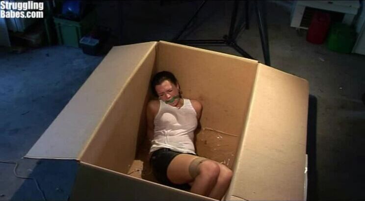 Vixen bound ballgagged transport