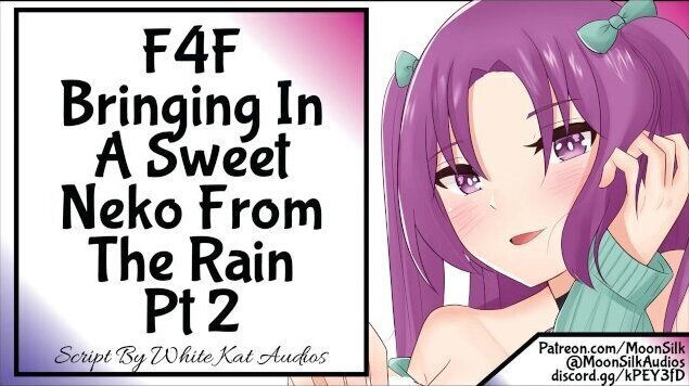 Bringing Sweet Neko From Rain