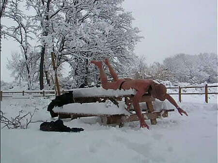 poil dans bonne neige fraiche mois janvier 2009