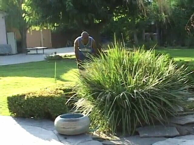 Black slut bikini gets cunt pounded outdoors