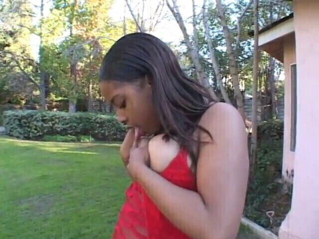 Bald black stud fucks thick black whore's