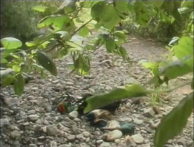 Sexy blonde with great gets pussy licked fucked