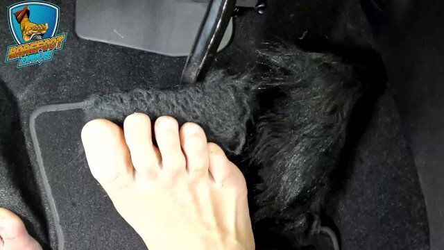 Over pedal view feet hitting pedals. lots wiggling