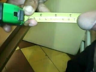 pingaza peruana peruano