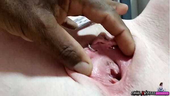 DELICIA NEGAO FUDEDORDEBUCETA2017 GOZAR DENTRO FAZER SUPREZA NATALINA. COMPLETO