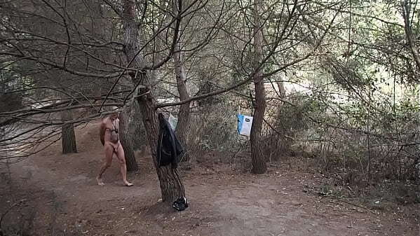 exhib poids tetons aire drague foret