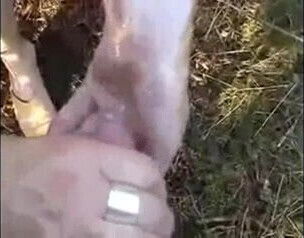 super cumshot compil Sucker