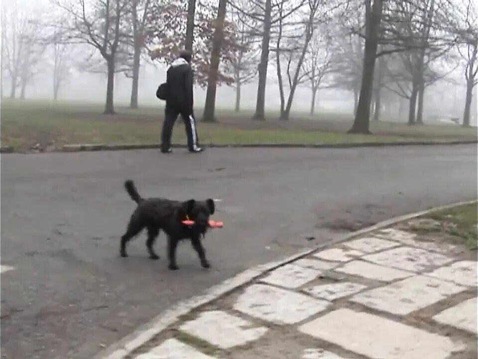 PORCONA PARCO MILANO!!! Episode