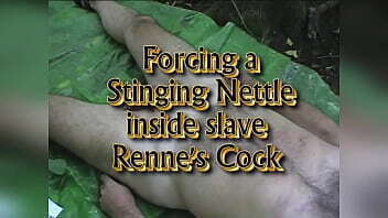 Sticking a stinging nettle in slave Renne'_s urethra