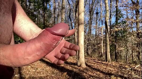 Sunny winter with hair