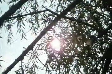 Kranken NICHT schwestern Report (1972) Walter Boos