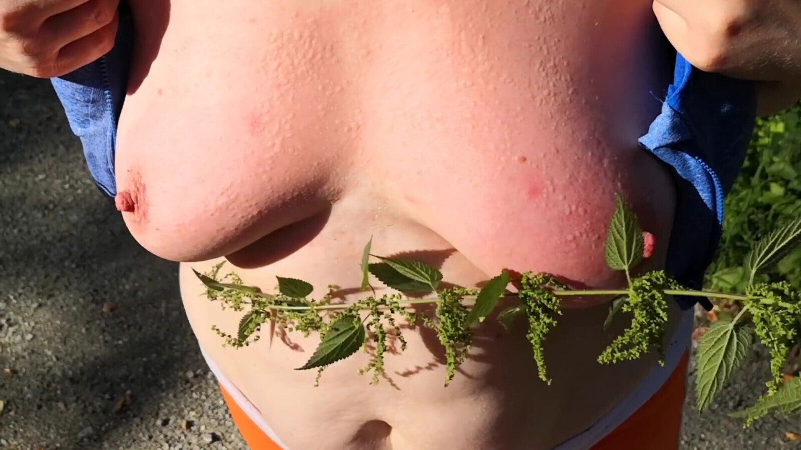 Nettle Walk Directors