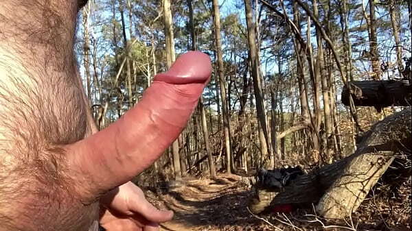 Back woods after cold weather