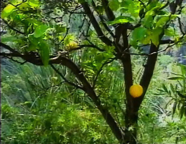 Sunbathing ebony doesn't want miss chance fuck