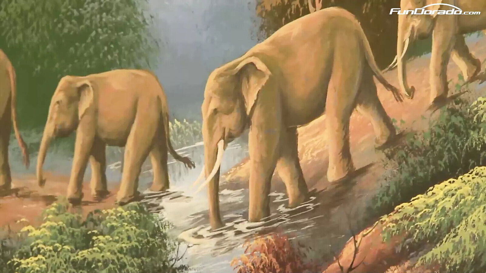 White Cheerleader Interracial Fetish