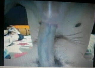 hung latin boy self sucks