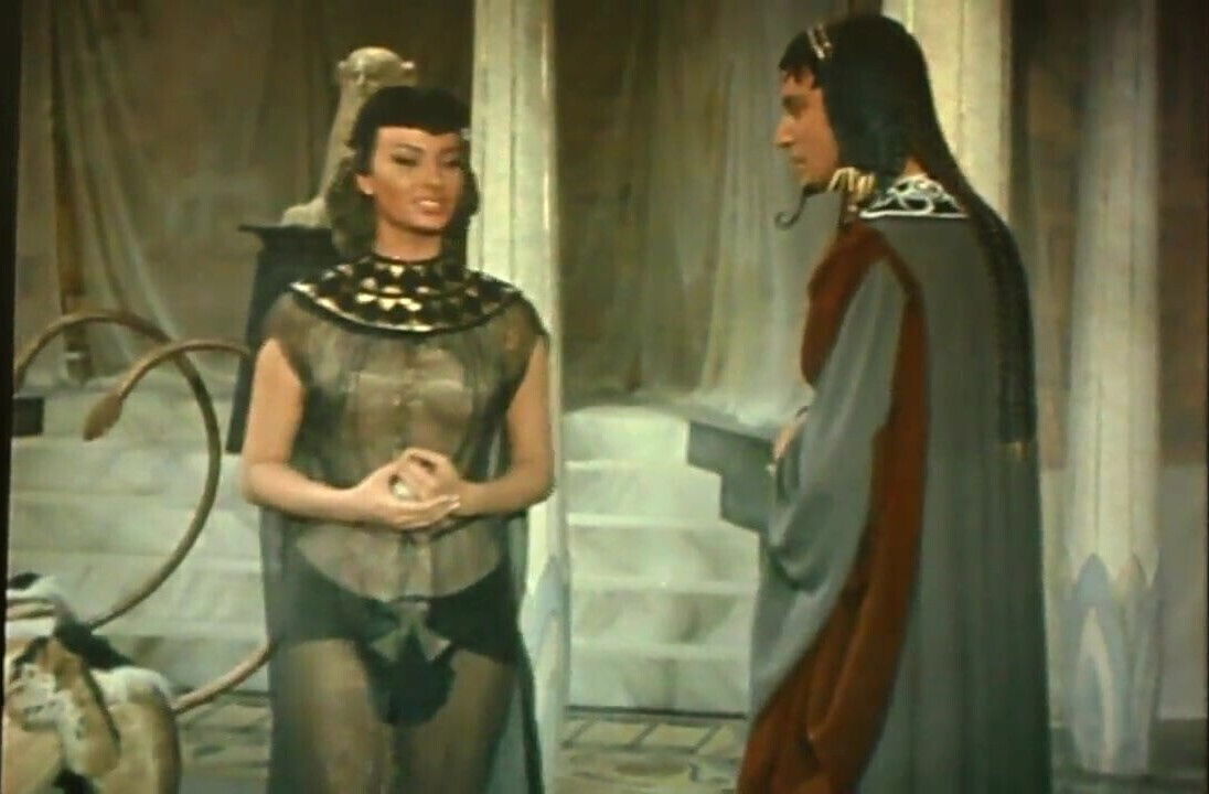 sofia loren i grew up milking cock to her