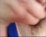 gulayin killi amcigi