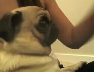 Sexxy Latin Sucks Dildo & Rubs Clit On Cam