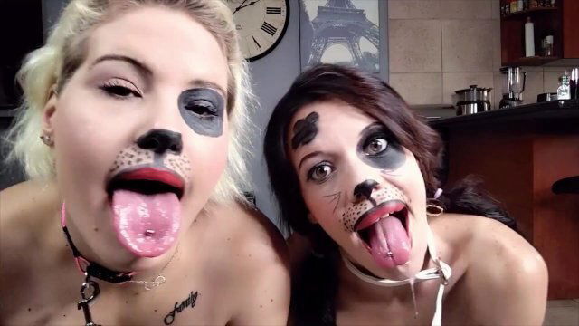 slaves pant drool like dogs humiliating